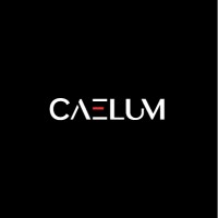 Caelum Group GmbH